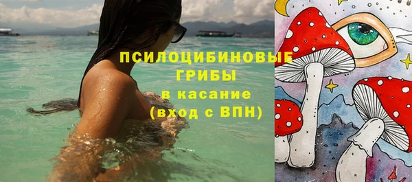меф Белокуриха