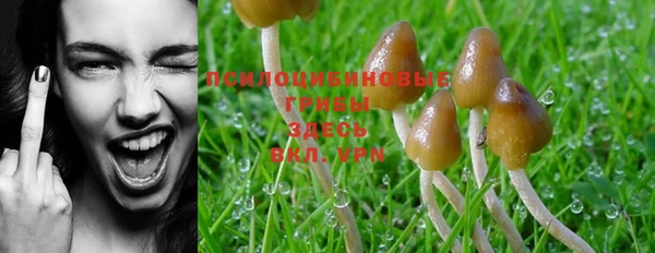 PSILOCYBIN Белоозёрский