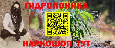 каннабис Волжский