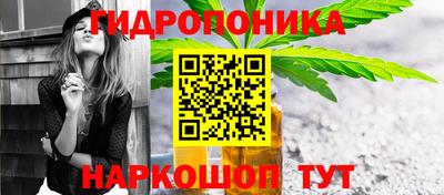 гашик Канаш