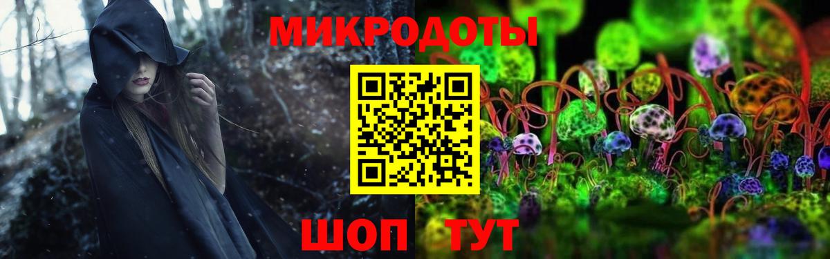 Галлюциногенные грибы Psilocybe Кувандык